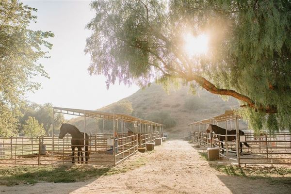Wolfe Canyon Ranch (4/10/2026 - Credits: submitted by: Jenelle Kagay)