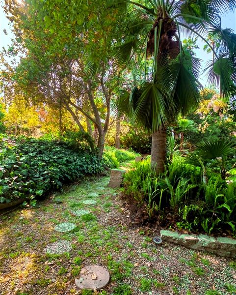 Vintage Hollywood Vibes – Secluded Palm-Lined Mid-Century Pool Oasis Wrapped In Lush Greenery – A Filmmaker’s Dream! (4/5/2025 - Credits: Elegant Textiles, Inc.)