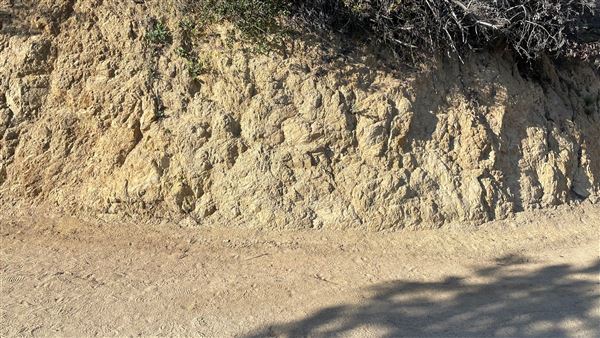 Boy Scout Trail - Griffith Park (3/6/2022 - Credits: Leo Fialho)