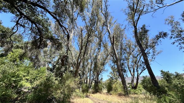 Peter Strauss Ranch - National Park Service (NPS) (5/8/2026 - Credits: Brandy Davis)