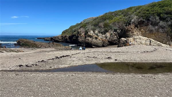 Montana de Oro State Park (SP) (4/22/2026 - Credits: Leo Fialho)
