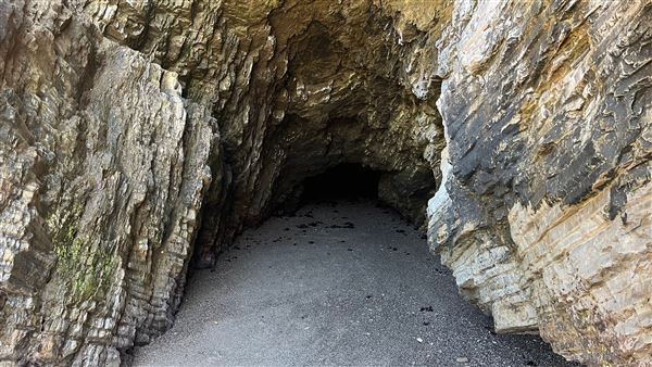 Montana de Oro State Park (SP) (4/22/2026 - Credits: Leo Fialho)