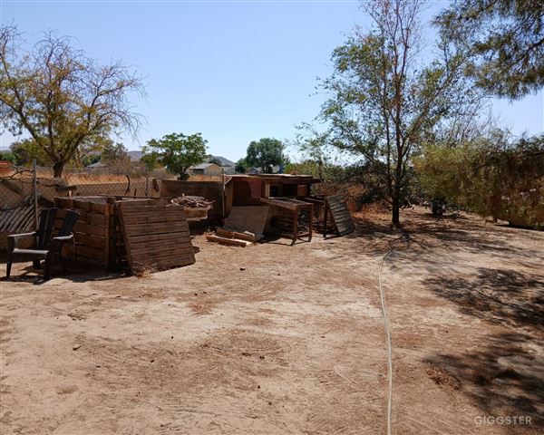 Desert Backyard (5/24/2025 - Credits: Tone Torgersen)