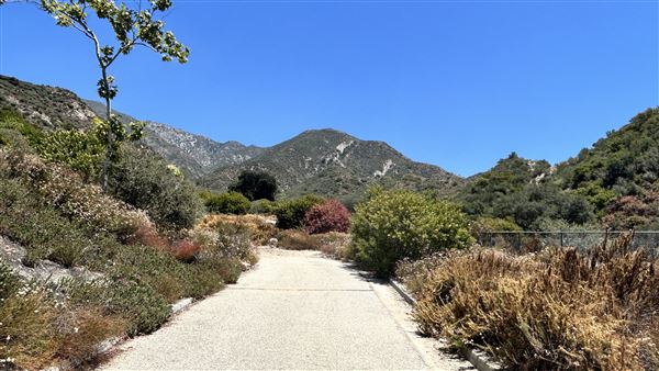 Deukmejian Wilderness Park (7/6/2026 - Credits: Brandy Davis)