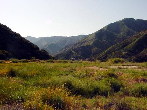 Mountain Property of Social Model Recovery System - Private Property (12/31/2003)