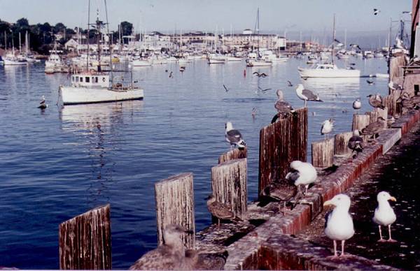 Monterey Municipal Wharf #2 (12/31/2003)