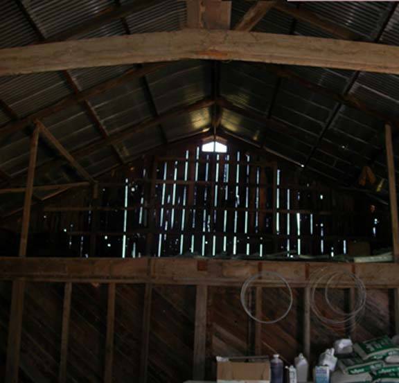 Olivet Grange Vineyard (12/31/2003)