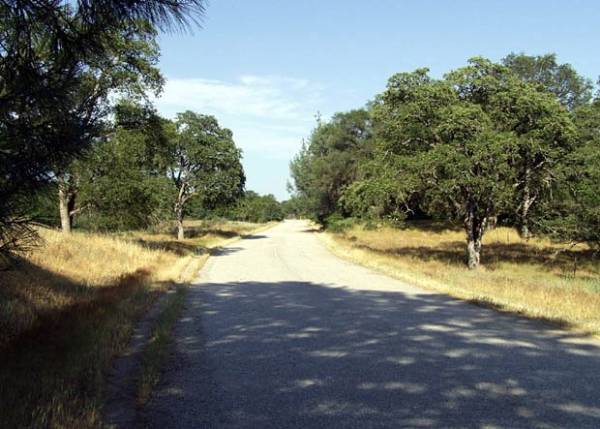 Auburn State Recreation Area (SRA) (12/31/2003)