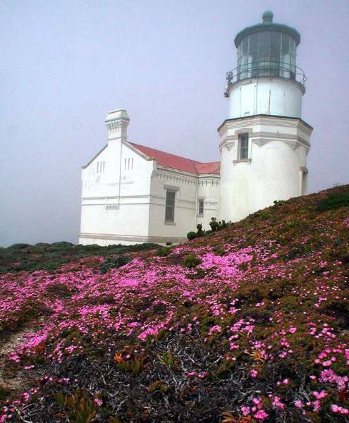 Point Conception Lighthouse (12/31/2003)