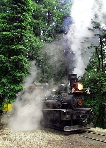 Roaring Camp Railroad (12/31/2003)