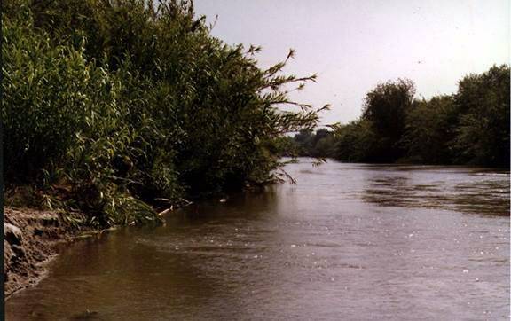 Santa Ana River within the Hidden Valley Wildlife Area (12/31/2003)