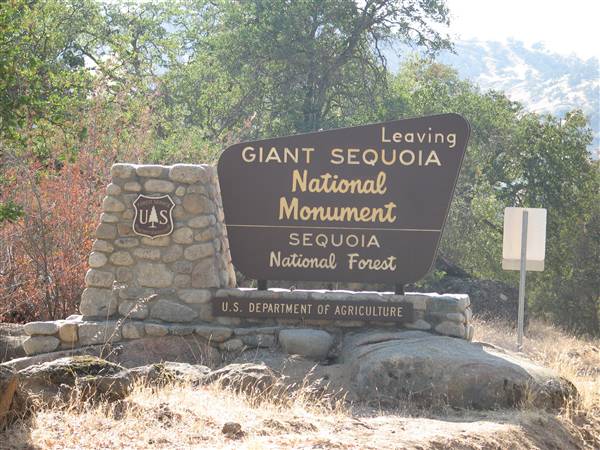 Giant Sequoia National Monument (9/22/2008 - Credits: LGFeldstein)