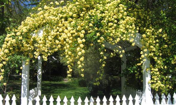 Vichy Springs Resort and Inn (5/10/2006 - Credits: http://www.vichysprings.com/)