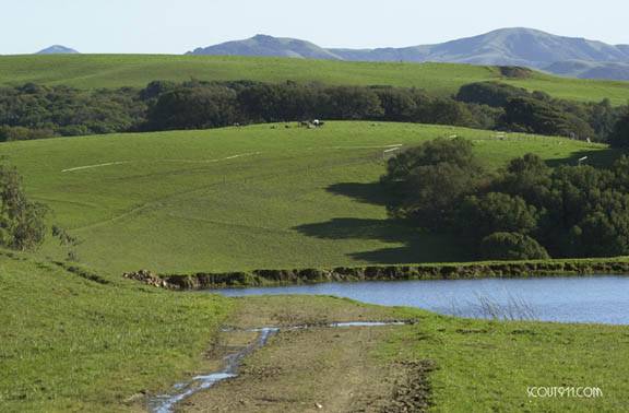 Tresch Dairy (12/31/2003)