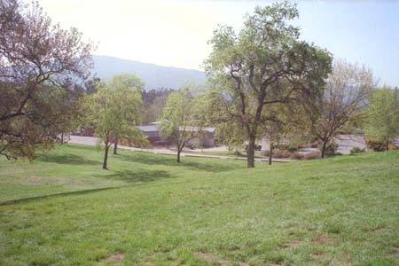 Vasona Lake County Park (12/31/2003)
