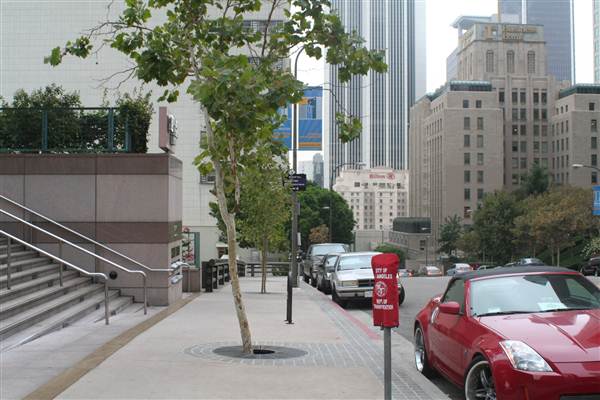 Grand Ave. corner of 5th and Grand (9/1/2010 - Credits: Lindsay Mizrahi)