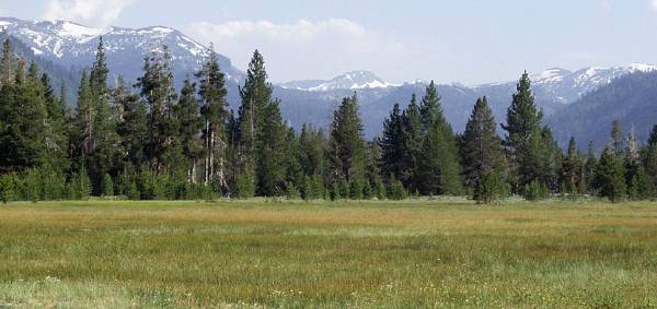 Washoe Meadows State Park (SP) (12/31/2003)