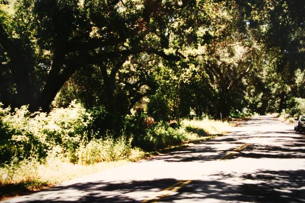 Huasna Road (3/17/2008)