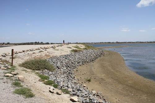 Bolsa Chica Ecological Reserve - California Department of Fish & Wildlife (CDFW) (4/5/2012)