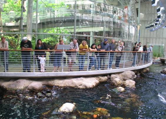 California Academy of Sciences (10/6/2008)