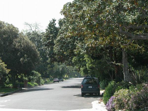 Chapman Woods Neighborhood Streets (10/10/2012)