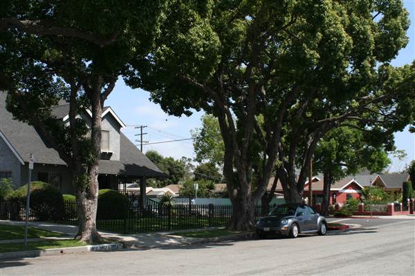 West Adams Neighborhood Historic District (10/10/2012)
