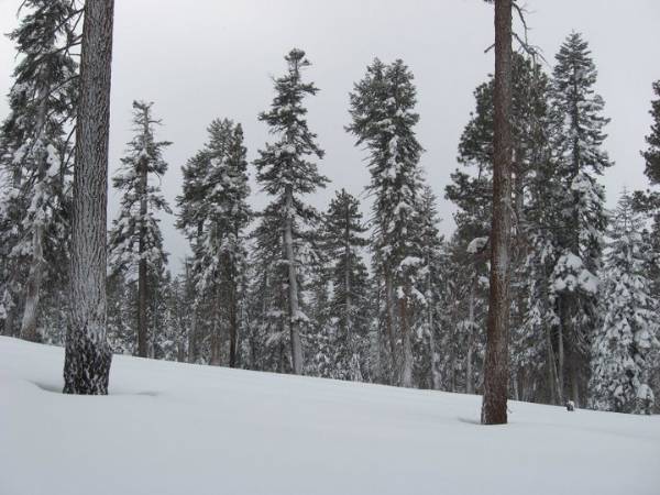 Yosemite National Park (12/25/2008)