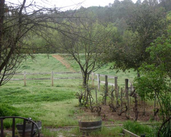 Spennymoor Ranch (3/3/2009)