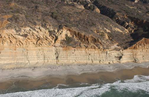 Torrey Pines State Natural Reserve (SNR) (3/17/2009)