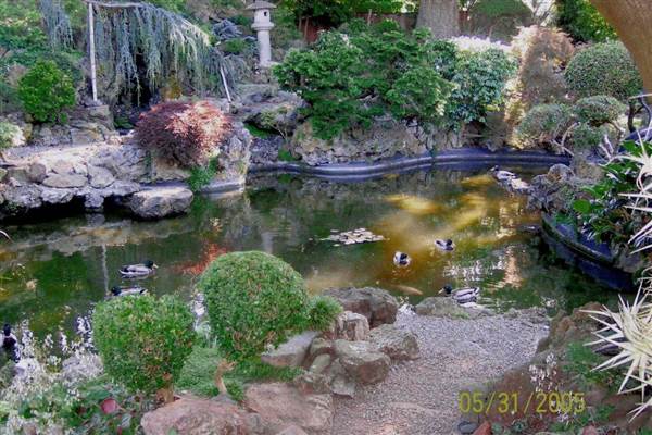 Japanese Tea Garden - San Mateo Central Park & Recreation Center (6/24/2013)