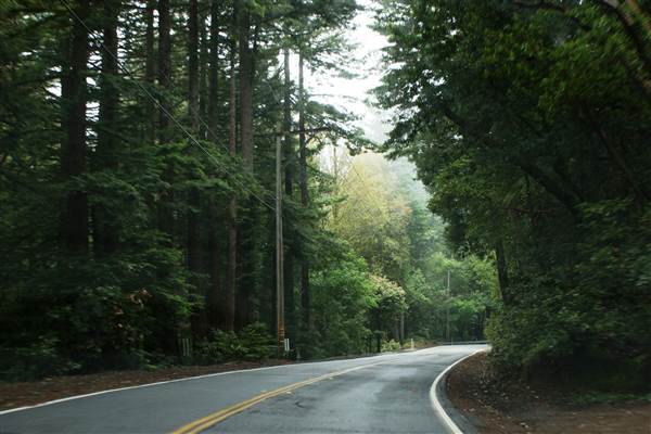 Skyline Boulevard - Highway 35 (8/21/2013)