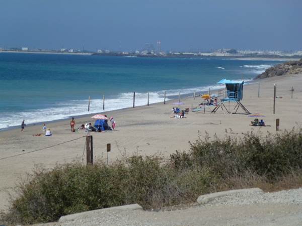 Point Mugu State Park (SP) - CFC (10/29/2013 - Credits: David Golden)