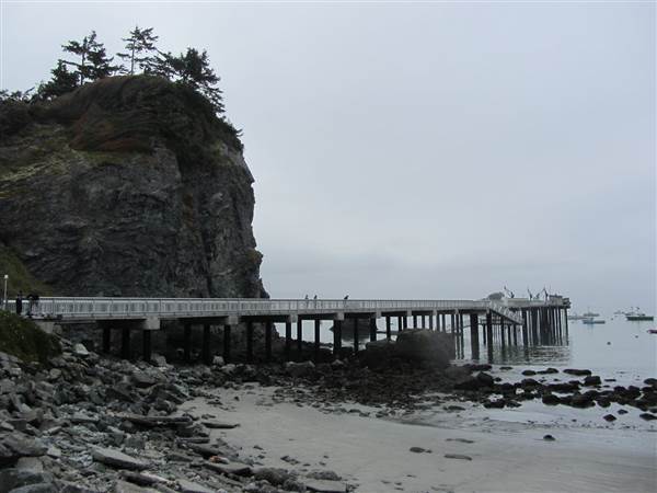 Trinidad Harbor (2/17/2014)