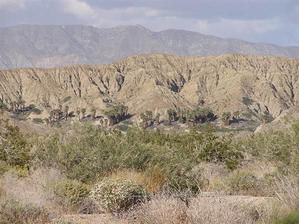 Indio Hills Palms Park Property (4/21/2014)