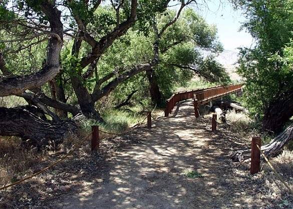 Canebrake Ecological Reserve - California Department of Fish and Wildlife (CDFW) (12/31/2003)