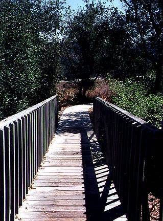 Ronald W. Caspers Wilderness Park (12/31/2003)