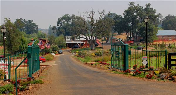 Anselmo Vineyard (10/29/2015)
