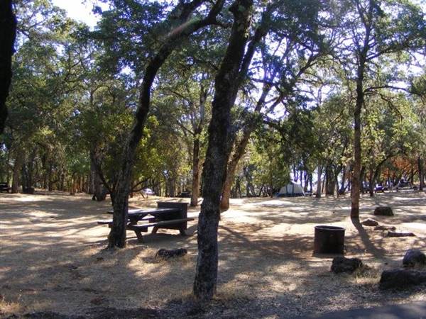 Clear Lake State Park (SP) (1/15/2016 - Credits: http://www.parks.ca.gov/ImageGallery/?page_id=473)