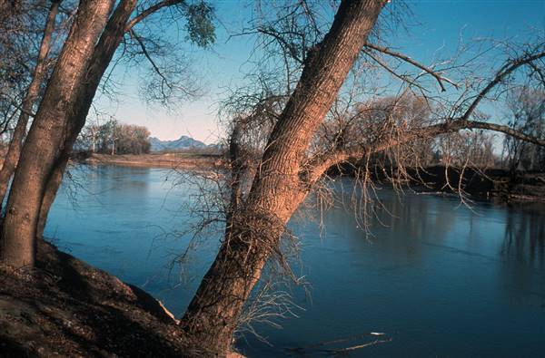 Colusa-Sacramento River State Recreation Area (SRA) (1/15/2016 - Credits: Courtesy of California State Parks, 2016)