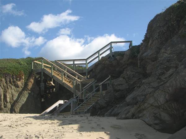 Garrapata State Park (SP) - http://stateparkclosurestrip.blogspot.com/ (3/2/2016 - Credits: Photo courtesy of Lucy D'Mot)