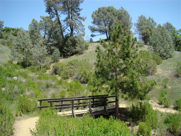 Henry W. Coe State Park (SP) - http://stateparkclosurestrip.blogspot.com/ (3/2/2016 - Credits: Photo courtesy of Lucy D'Mot)