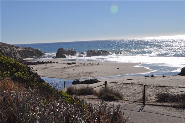 Leo Carrillo State Park and Beach (SP) (3/7/2016 - Credits: Photo courtesy of Robin Citrin)