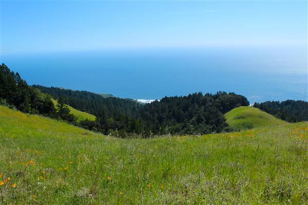 Mount Tamalpais State Park (SP) (3/9/2016 - Credits: Photo courtesy of Marin Convention & Visitors Bureau)