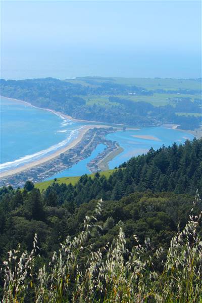 Mount Tamalpais State Park (SP) (3/9/2016 - Credits: Photo courtesy of Marin Convention & Visitors Bureau)