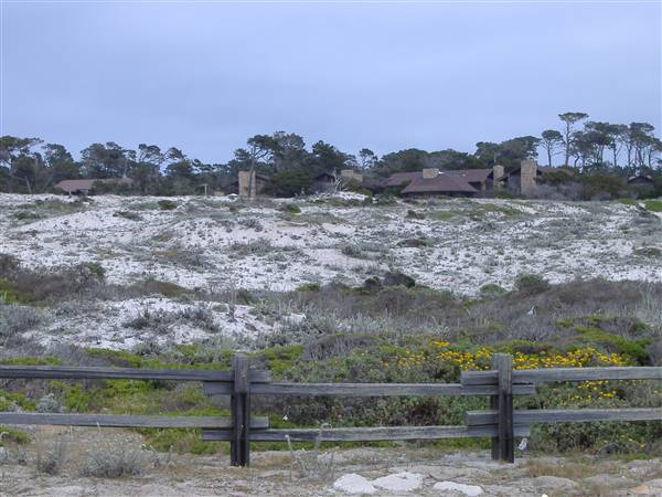 Asilomar State Beach and Conference Grounds (3/10/2016 - Credits: Photo courtesy of California State Parks)