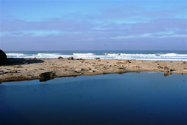San Gregorio State Beach (SB) (3/10/2016 - Credits: Photo courtesy of SMCCVB)