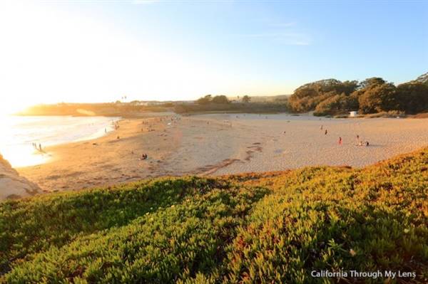 Natural Bridges State Beach (SB) - Photo courtesy of Josh McNair, http://californiathroughmylens.com/ (3/24/2016 - Credits: Photo courtesy of Josh McNair, photo courtesy of Josh McNair, Photo courtesy of Josh McNair, Photo courtesy of Josh McNair, Photo courtesy of Josh McNair, http://californiathroughmylens.com/)