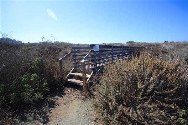 Montana de Oro State Park (SP) - Photo courtesy of Josh McNair, californiathroughmylens.com (3/24/2016 - Credits: Photo courtesy of Josh McNair, californiathroughmylens.com)