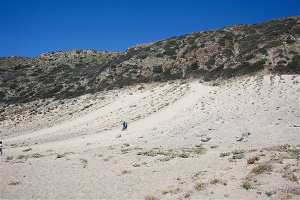 Point Mugu State Park (SP) – Sandy Dune (4/1/2016 - Credits: Photo courtesy of Gillian Bissonnette, California Film Commission)
