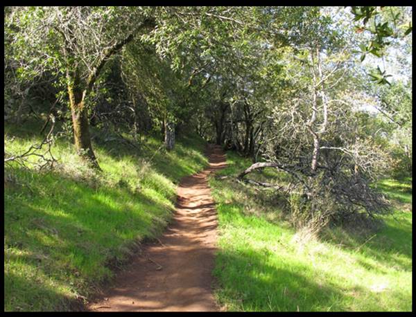 Trione-Annadel State Park (SP) - Photo courtesy of Tim Sartoris (4/7/2016 - Credits: Photo courtesy of Tim Sartoris)